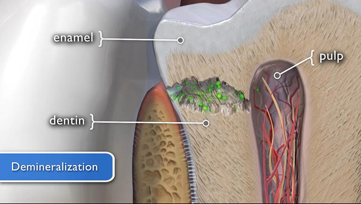 dentistry-northshore